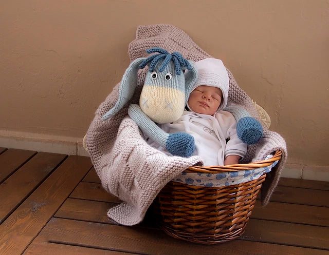 Donkey Baby Blanket Knitting Pattern