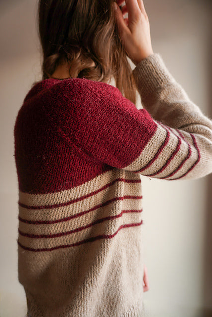 Cozy Winter Sweater Knitting Pattern