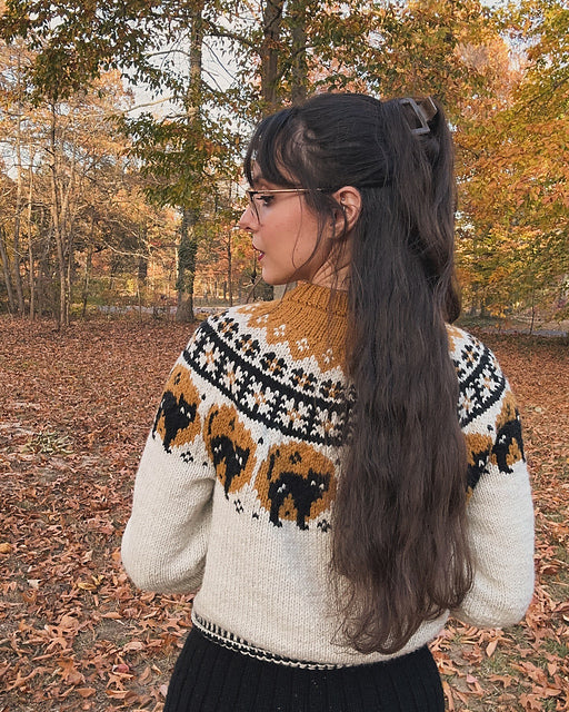 Halloween Jumper Knitting Pattern