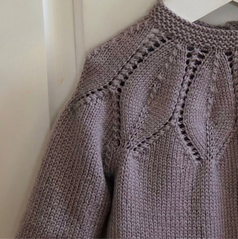 Leaves and Raglan Baby Cardigan Knitting Pattern