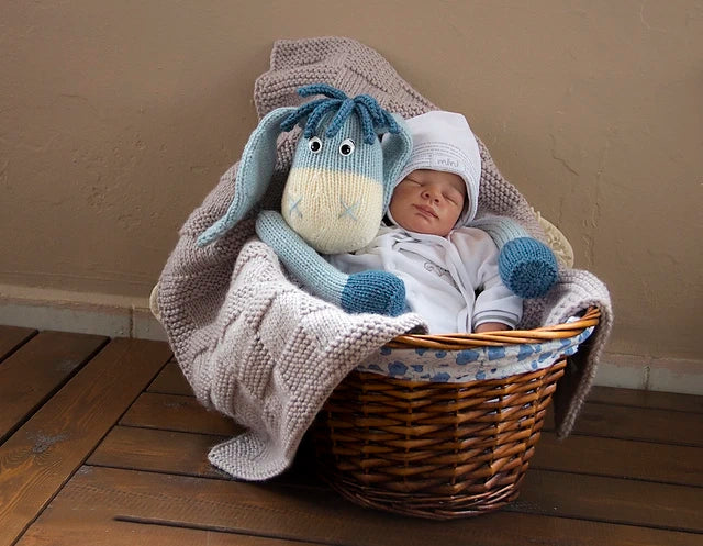 Donkey Baby Blanket Knitting Pattern