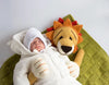 Lion Baby Blanket Knitting Pattern