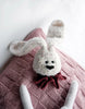 Long Ears Bunny Blanket Knitting Pattern