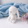 Little Bunny Knitting Pattern