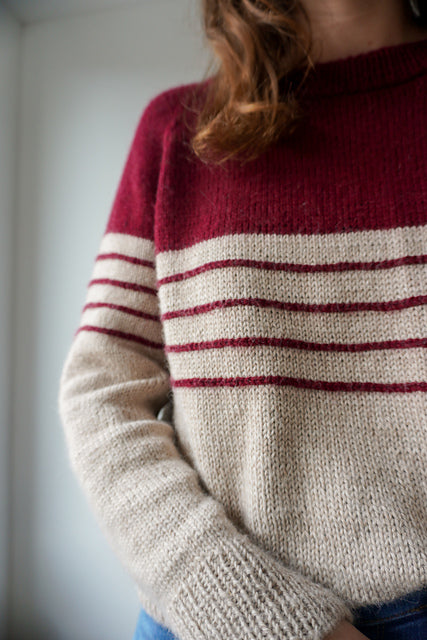 Cozy Winter Sweater Knitting Pattern
