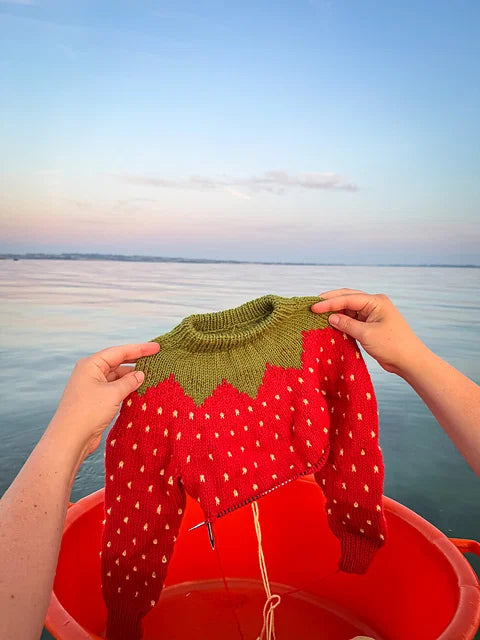 Kids Fruit Sweater Knitting Pattern