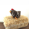 Mini Chickens Knitting Pattern