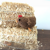 Mini Chickens Knitting Pattern