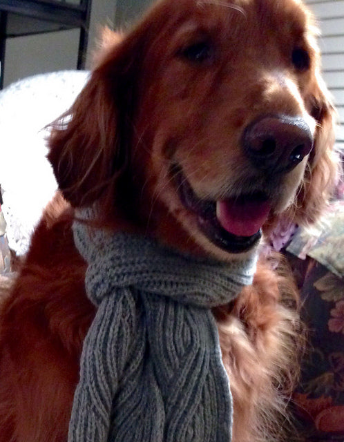 Hegg Braid Scarf Knitting Pattern
