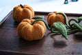 Little Pumpkins Knitting Pattern