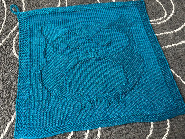Owl Washcloth Knitting Pattern