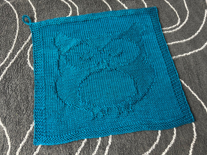 Owl Washcloth Knitting Pattern