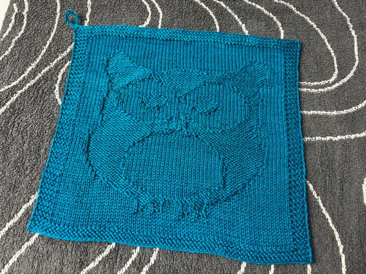 Owl Washcloth Knitting Pattern