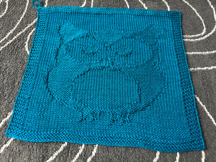 Owl Washcloth Knitting Pattern